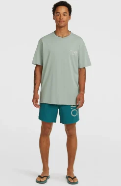 HommesShort de bain O'Neill Cali 16''| Vert