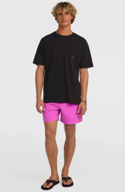 HommesShort de bain O'Neill Logo 16''| Violet