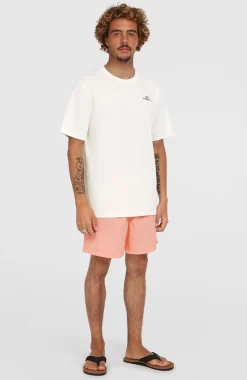 HommesShort de bain O'Neill Vert 16''| Rose
