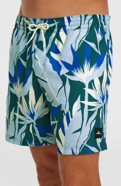 HommesShort de bain O'Neill Print 16| Bleu
