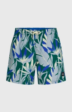 HommesShort de bain O'Neill Print 16| Bleu