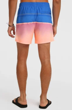 HommesShort de bain O'Neill Gradient 15| Bleu Mix