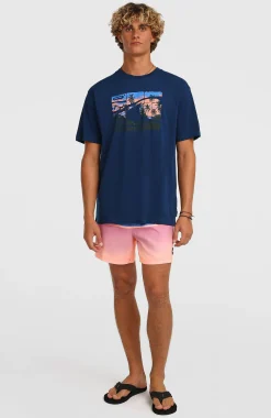 HommesShort de bain O'Neill Gradient 15| Bleu Mix