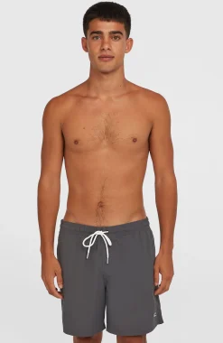 HommesShort de bain O'Neill Vert 16''| Gris