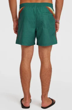 HommesShort de bain O'Riginals Longboard 15| Vert Mix