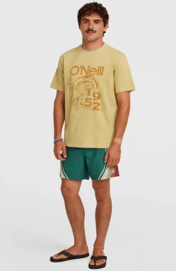 HommesShort de bain O'Riginals Longboard 15| Vert Mix