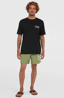 HommesShort de bain Original Cali 16''| Vert