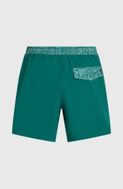 HommesShort de bain Pocket Print 16| Vert