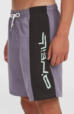 HommesShort de bain Retro 19''| Violet Mix