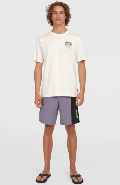 HommesShort de bain Retro 19''| Violet Mix