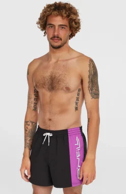 HommesShort de bain Retro 14''| Violet Mix