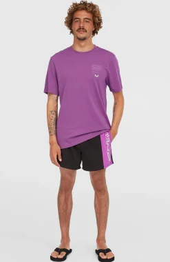 HommesShort de bain Retro 14''| Violet Mix