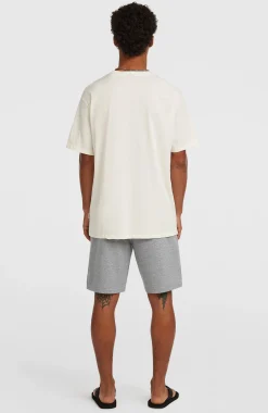 HommesShort de survêtement O'Neill Small Logo| Gris