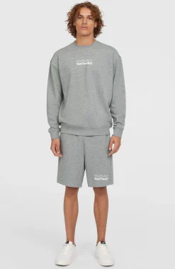 HommesShort Future Surf Society| Gris