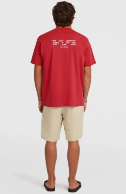 HommesShorts Hybrid 19