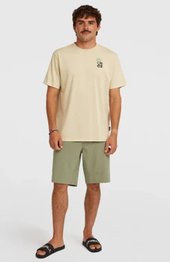 HommesShorts Hybrid 19"| Vert