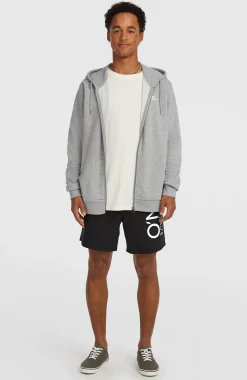 HommesSweat à capuche et zip intégral Small Logo| Gris