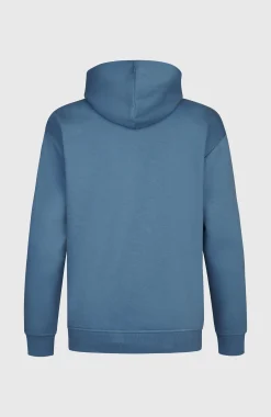 HommesSweat à capuche Future Surf Society| Bleu