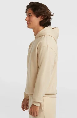 HommesSweat à capuche Future Surf Society| Beige