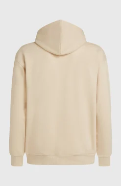 HommesSweat à capuche Future Surf Society| Beige