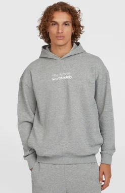 HommesSweat à capuche Future Surf Society| Gris
