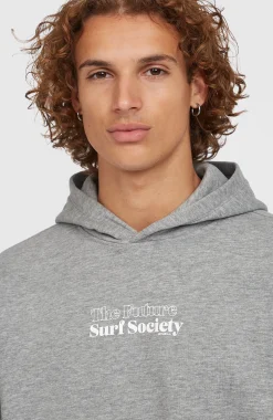 HommesSweat à capuche Future Surf Society| Gris