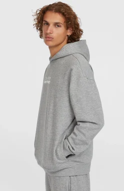 HommesSweat à capuche Future Surf Society| Gris