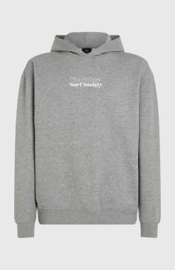 HommesSweat à capuche Future Surf Society| Gris