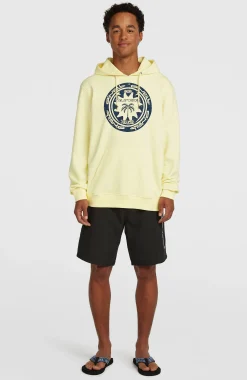 HommesSweat à capuche O'Neill Must-Have Graphic| Jaune