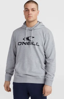 HommesSweat à capuche O'Neill Logo| Gris