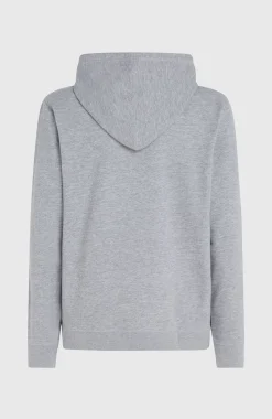 HommesSweat à capuche O'Neill Logo| Gris
