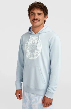 HommesSweat à capuche O'Neill Must-Have Graphic| Bleu