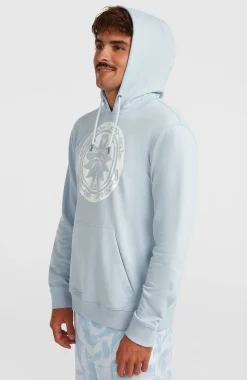 HommesSweat à capuche O'Neill Must-Have Graphic| Bleu