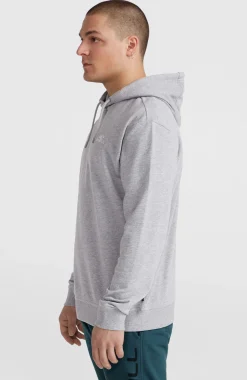 HommesSweat à capuche O'Neill Small Logo| Gris