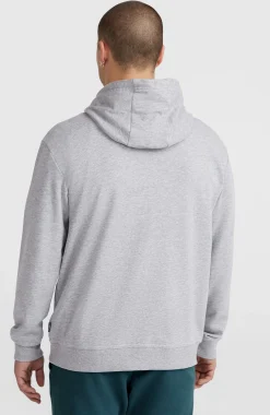 HommesSweat à capuche O'Neill Small Logo| Gris