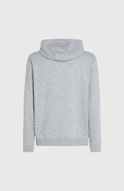 HommesSweat à capuche O'Neill Small Logo| Gris