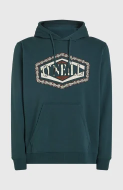 HommesSweat à capuche O'Neill Front Print| Bleu