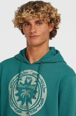 HommesSweat à capuche O'Neill Must-Have Graphic| Vert