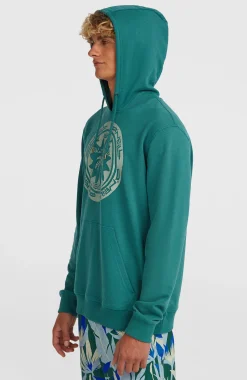 HommesSweat à capuche O'Neill Must-Have Graphic| Vert