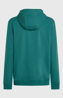 HommesSweat à capuche O'Neill Must-Have Graphic| Vert