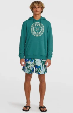 HommesSweat à capuche O'Neill Must-Have Graphic| Vert