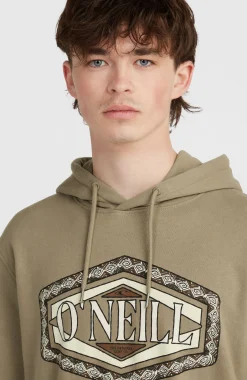 HommesSweat à capuche O'Neill Front Print| Brun