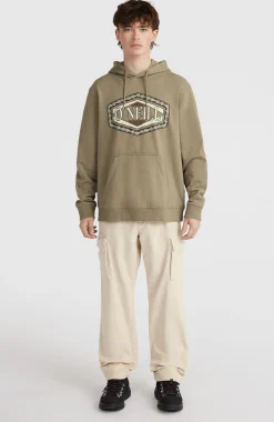 HommesSweat à capuche O'Neill Front Print| Brun