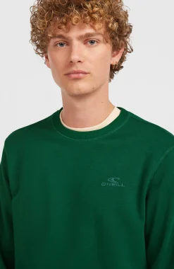 HommesSweatshirt à col rond Small Logo| Vert