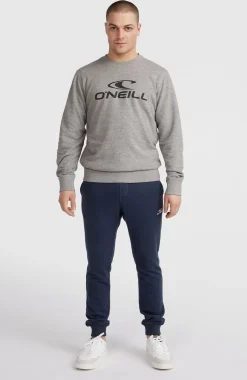 HommesSweatshirt à col rond O'Neill Logo| Gris