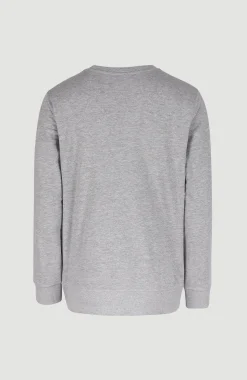 HommesSweatshirt à col rond O'Neill Logo| Gris