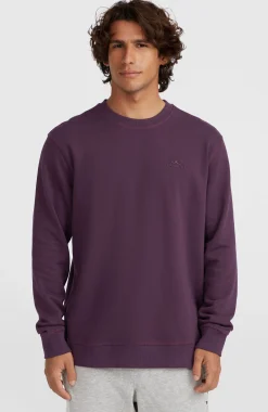 HommesSweatshirt à col rond Small Logo| Violet