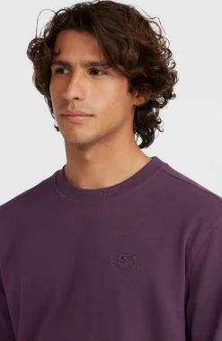 HommesSweatshirt à col rond Small Logo| Violet