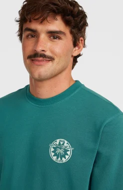 HommesSweatshirt O'Neill Must-Have Graphic Crew| Vert