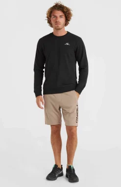 HommesSweatshirt O'Neill Small Logo Crew| Noire